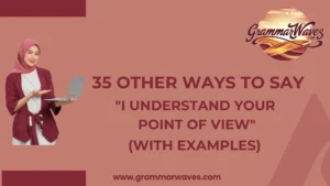 Other Ways to Say “I Understand Your Point of View”